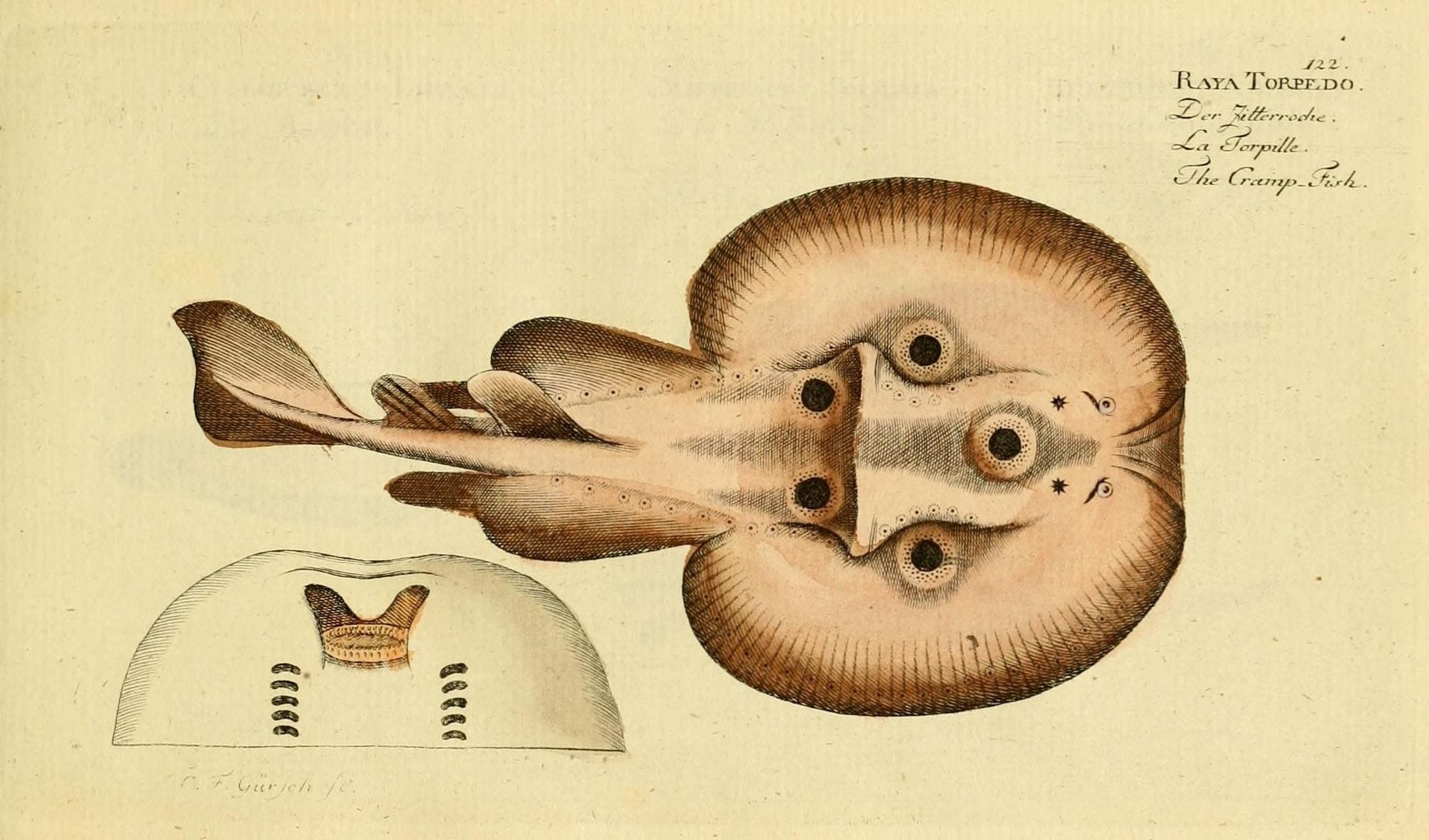 công nghệ điện xung thời kỳ đầu