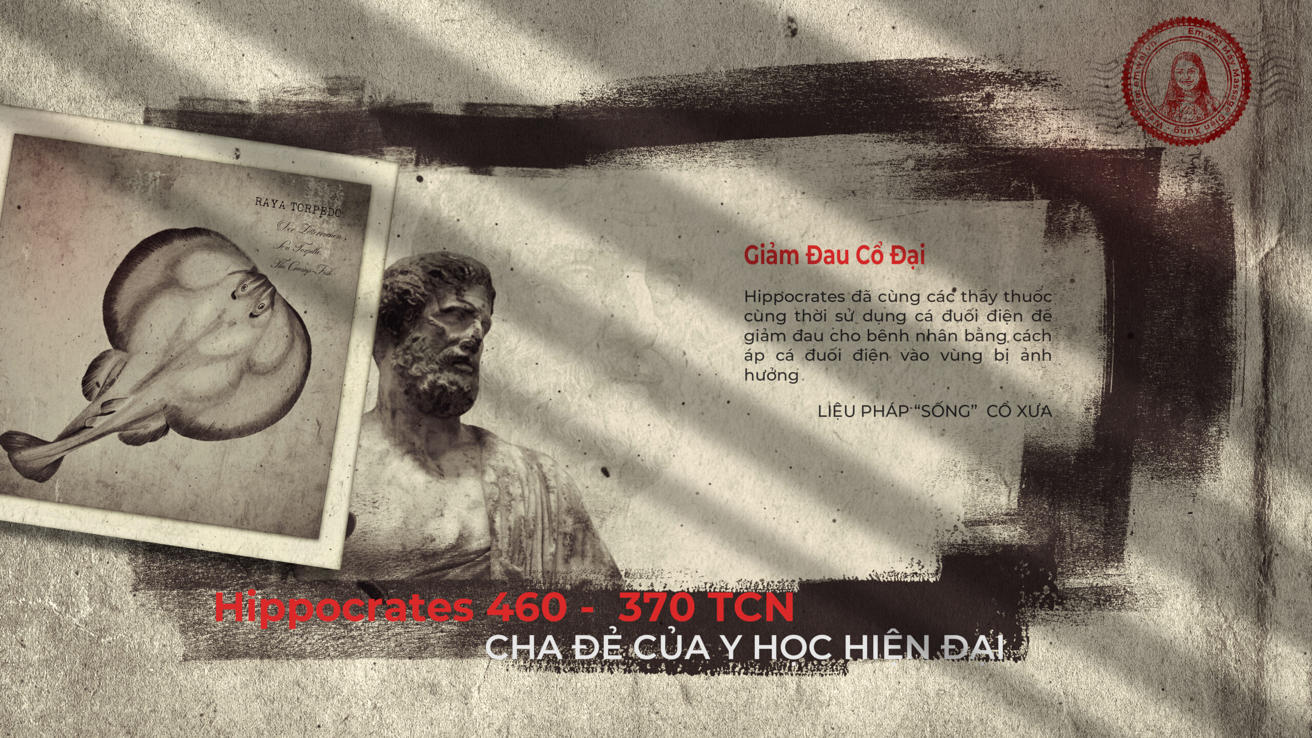 Cá đuối điện giảm đau cổ đại